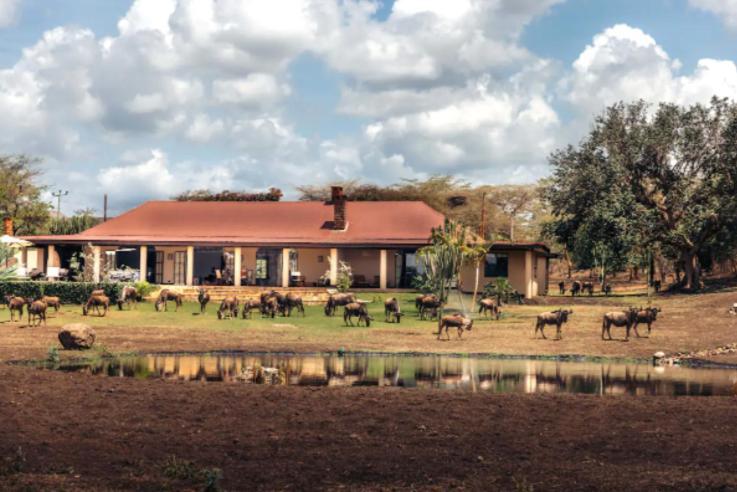 Wildlife Residence Tuvaila Exterior foto